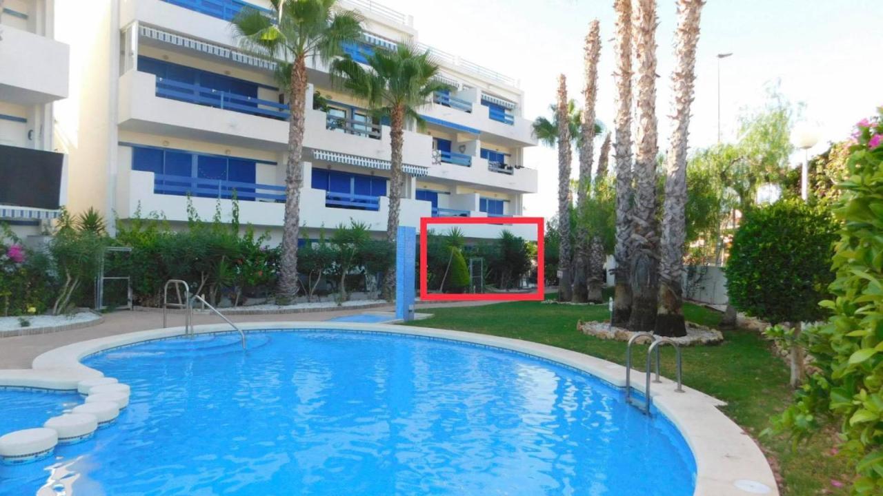 Coral House - La Calma - Playa Flamenca - Big Terrace & 4 Swimming Pools. Lejlighed Eksteriør billede