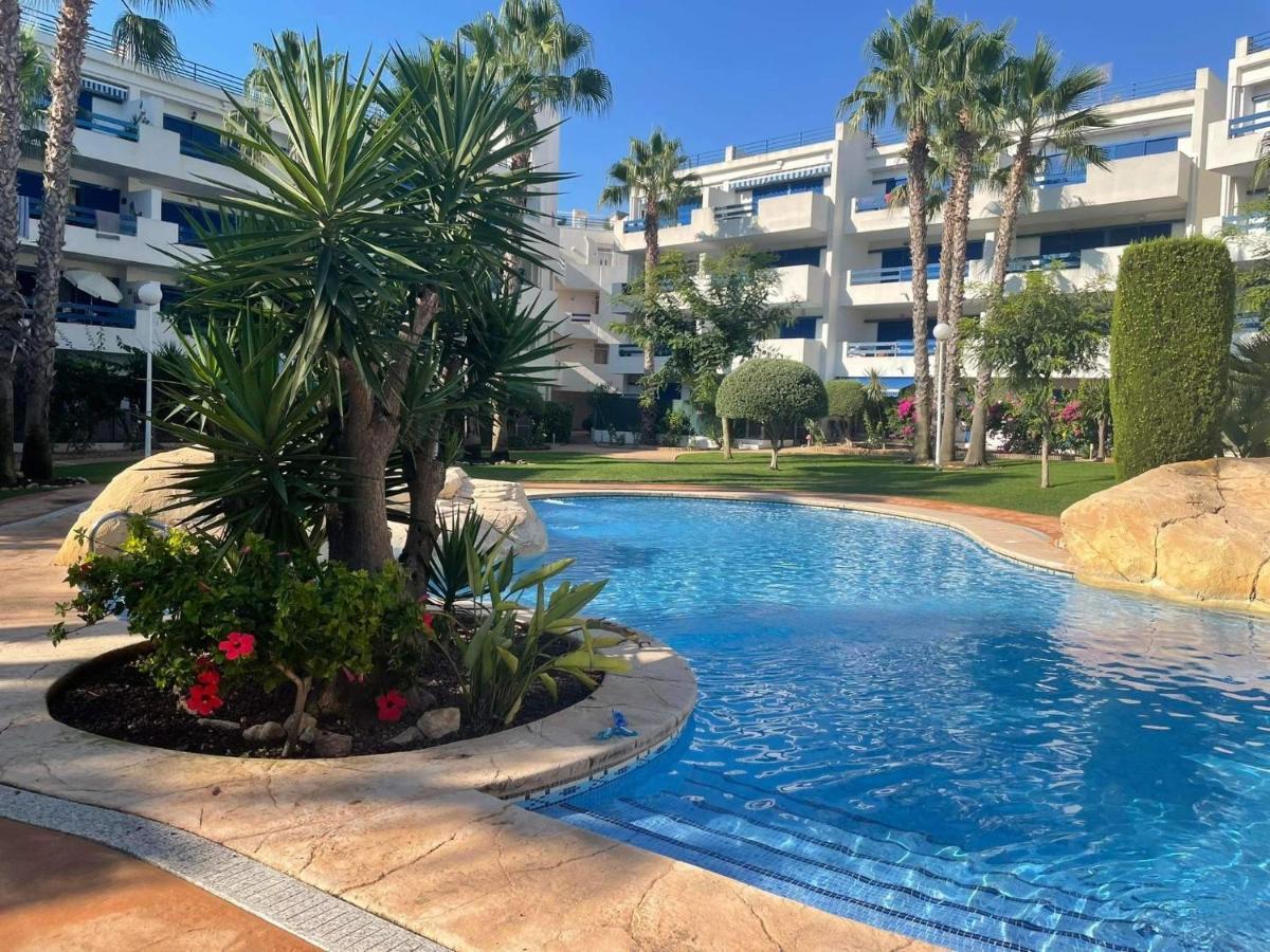 Coral House - La Calma - Playa Flamenca - Big Terrace & 4 Swimming Pools. Lejlighed Eksteriør billede