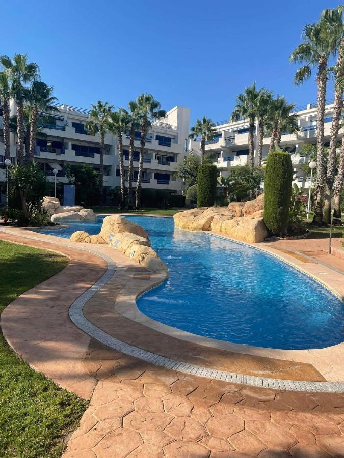 Coral House - La Calma - Playa Flamenca - Big Terrace & 4 Swimming Pools. Lejlighed Eksteriør billede