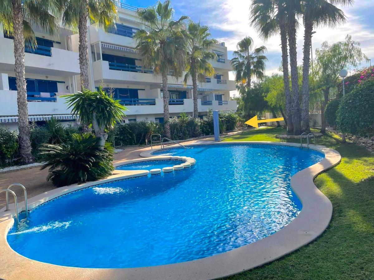 Coral House - La Calma - Playa Flamenca - Big Terrace & 4 Swimming Pools. Lejlighed Eksteriør billede