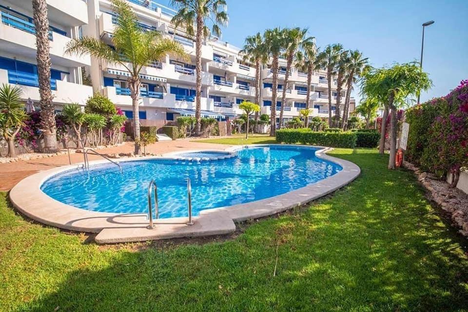Coral House - La Calma - Playa Flamenca - Big Terrace & 4 Swimming Pools. Lejlighed Eksteriør billede